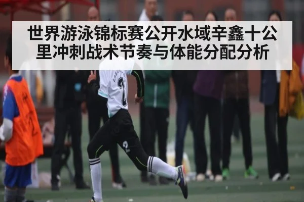 世界游泳锦标赛公开水域辛鑫十公里冲刺战术节奏与体能分配分析
